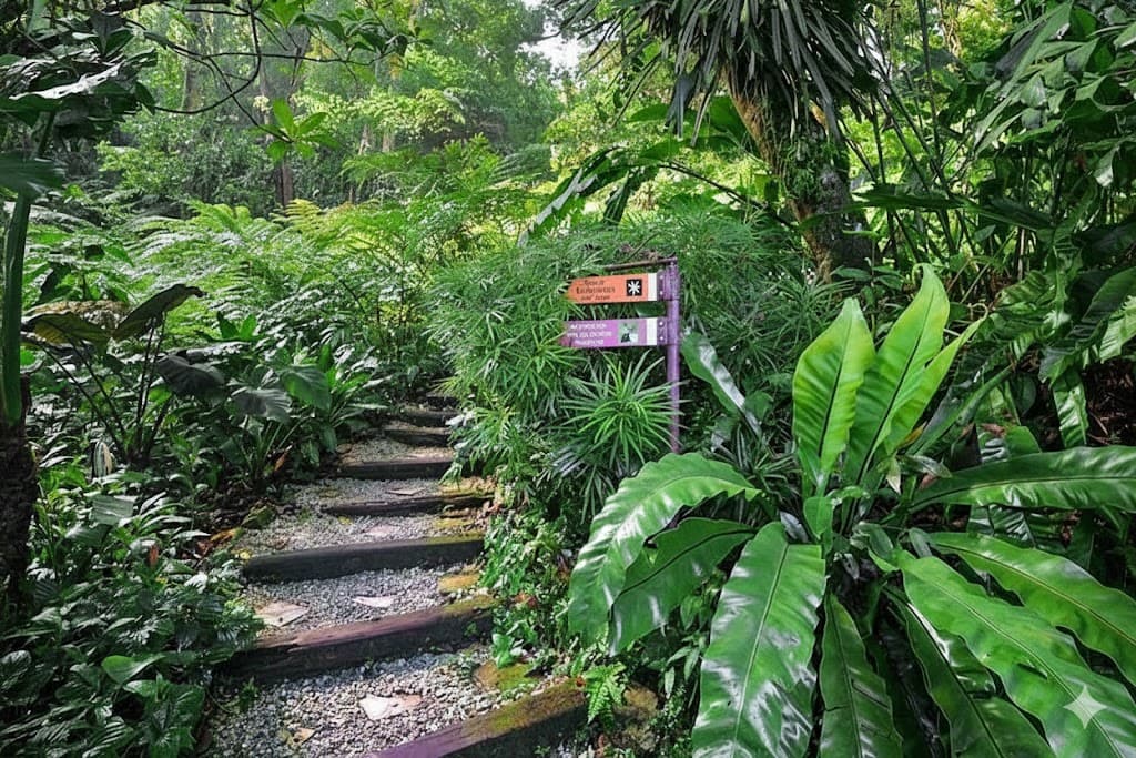 Day 5 – Sigiriya ➜ Kandy image 1