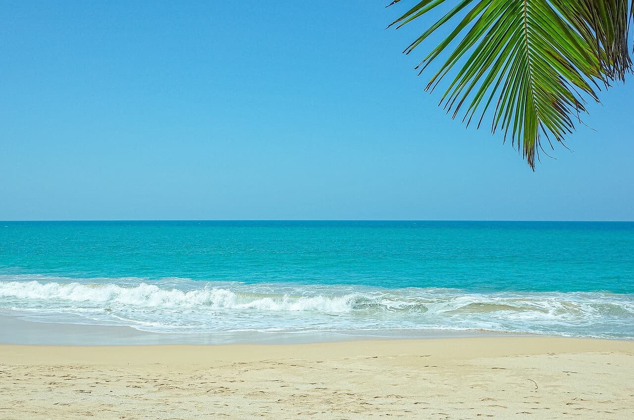 Day 11 – Yala ➜ Mirissa image 3