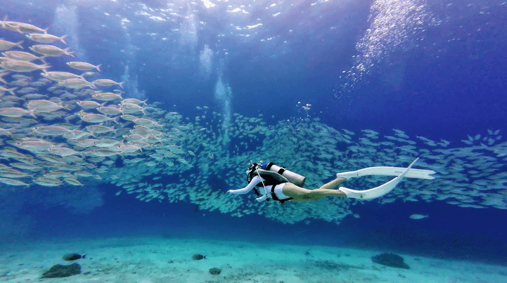 Day 11 – Yala ➜ Mirissa image 1