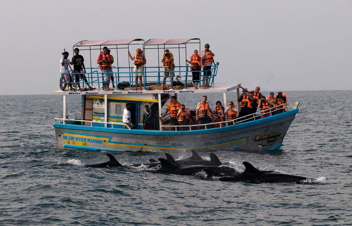 Day 16 – Mirissa ➜ Galle ➜ Bentota image 3