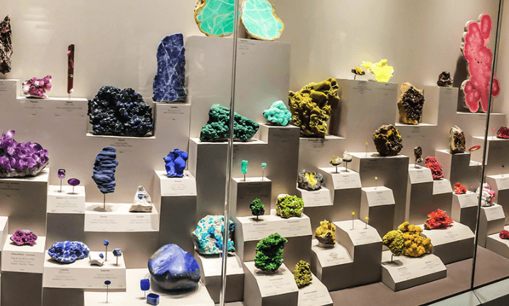 Day 8 – Kandy Sightseeing image 3