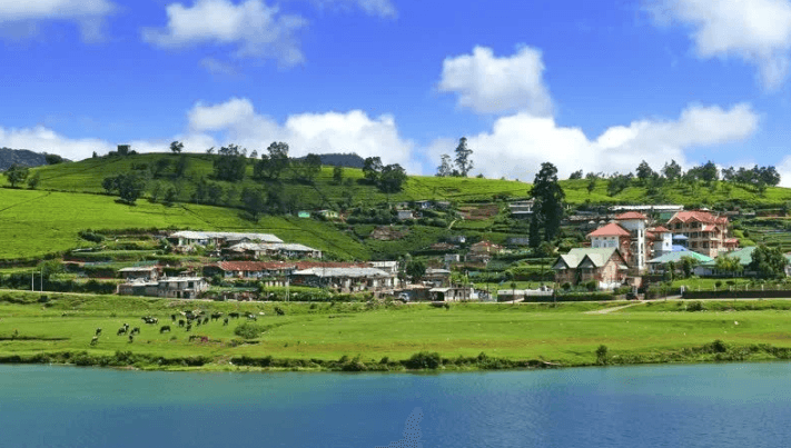 Day 4 – Ella ➜ Nuwara Eliya image 3