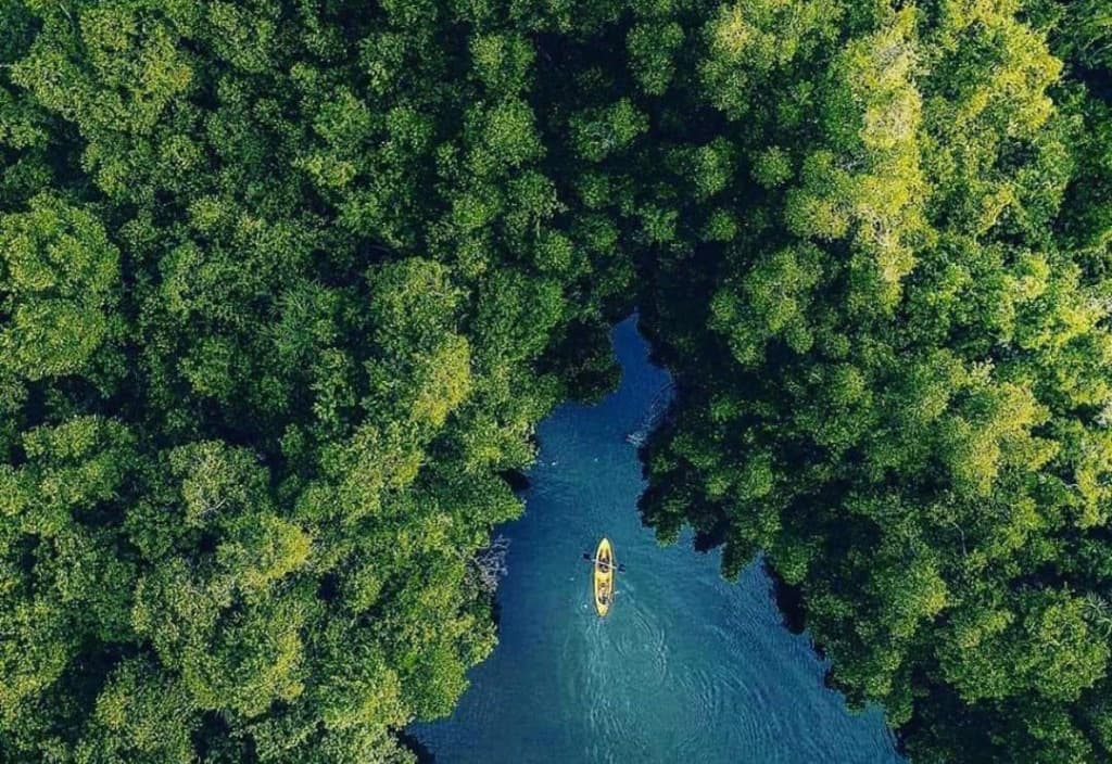 Day 16 – Mirissa ➜ Galle ➜ Bentota image 2