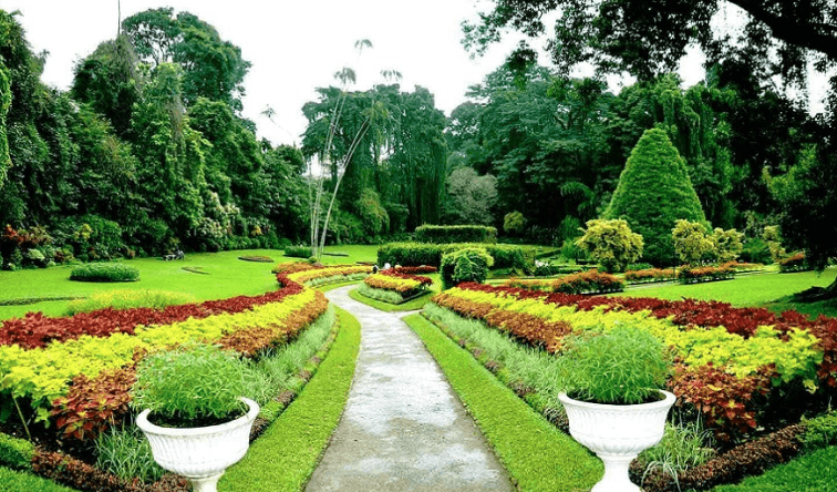 Day 6 – Kandy Sightseeing image 1