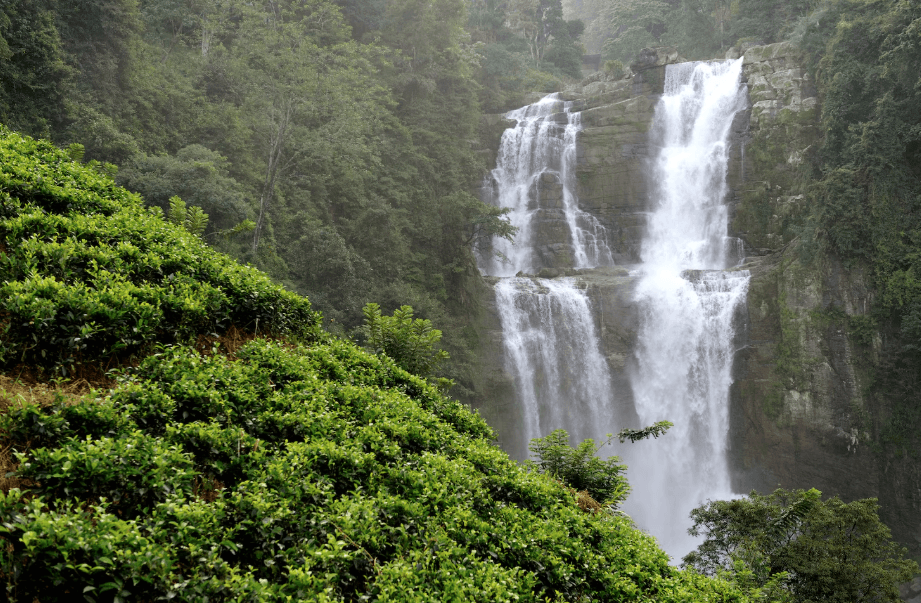 Day 7 – Kandy ➜ Nuwara Eliya image 1