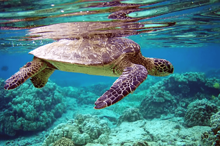 Day 13 – Yala ➜ Tangalle image 1