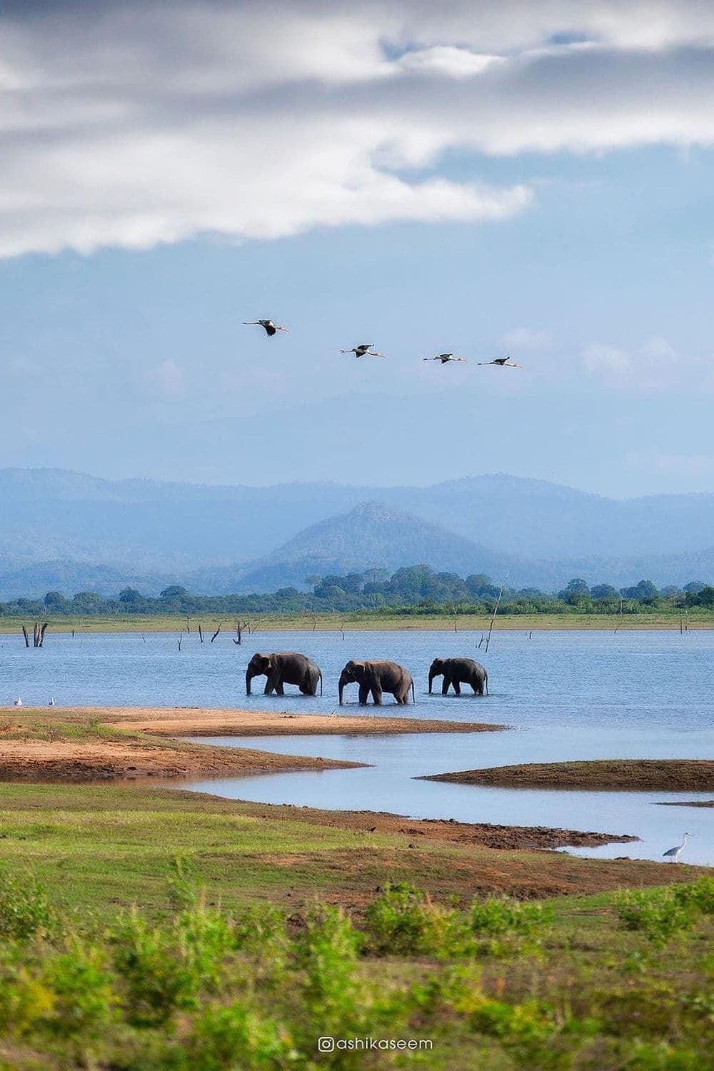 Day 2 – Negombo ➜ Wilpattu image 1